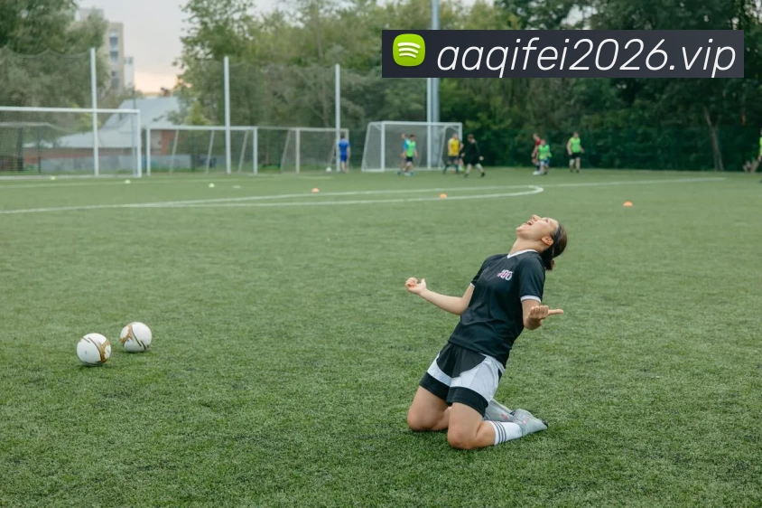 开云(中国)Kaiyun·官方网站 - 登录入口平台生态图