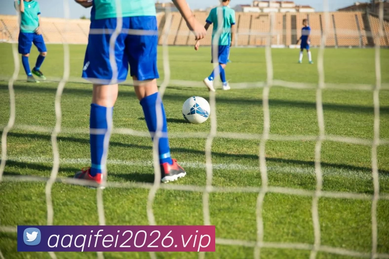 开云(中国)Kaiyun·官方网站 - 登录入口APP 封面图